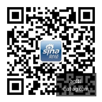 亚运男足,决赛前瞻,韩越巅峰对,AG真人官网,AG真人APP,AG娱乐体验,AG真人直播,AG游戏中心